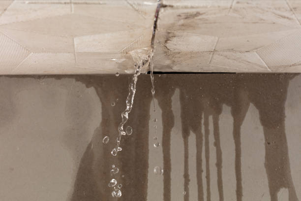 Professional Water Damage Repair technician working in Hempstead, TX